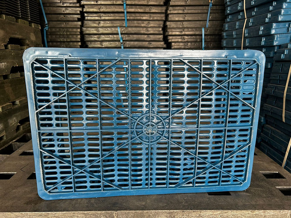 Miniatura: PLANA REF 4