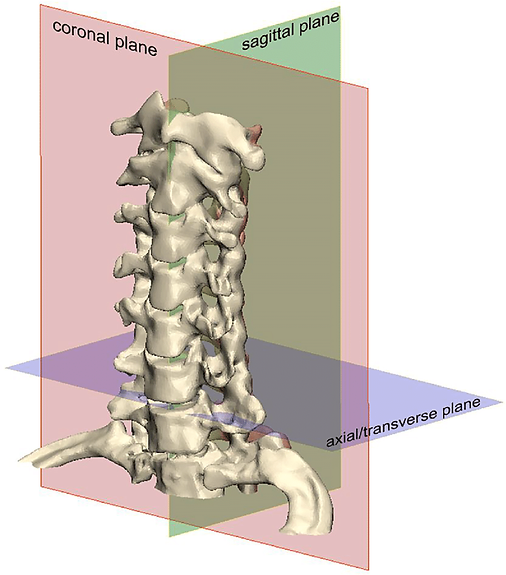 Planar-coordinate-system-of-the-cervical-spine-including-sagittal-coronal-and.png