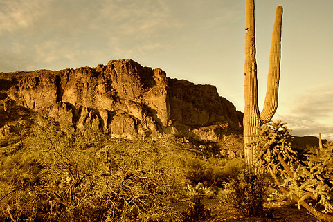 Western Scenery