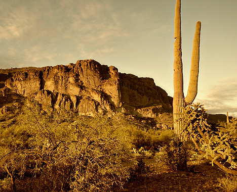 Western Scenery