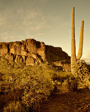 Western Scenery