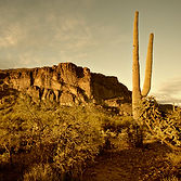 Desert Mountain Landscape