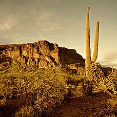 Parque Nacional Los Cardones Salta