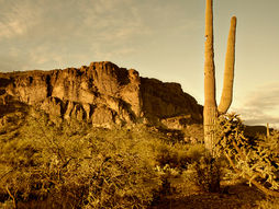 A Local's Guide to the Top Ten Things to do in Tucson