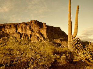Q: Tucson summers are quite hot and sometimes I feel sluggish not only in my body but also in my mi