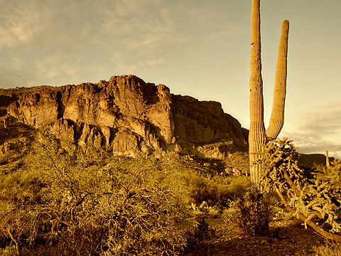 Western Scenery