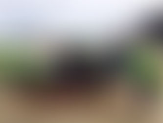 Torr Hell – Giants causeway coastal sportive