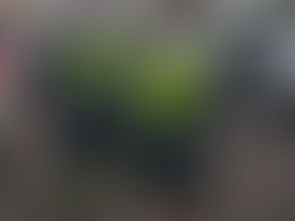 Being upgraded is a positive, right?