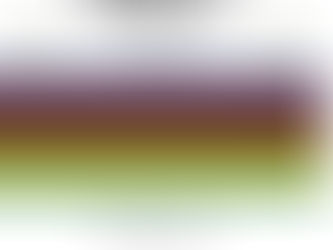 Stephen Roche GP 2018