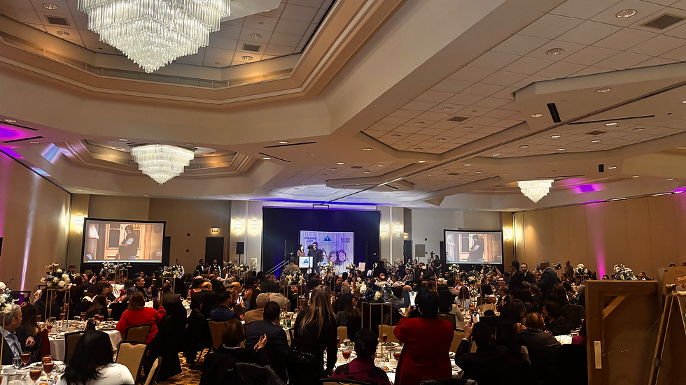 Projection Screens For IMAG