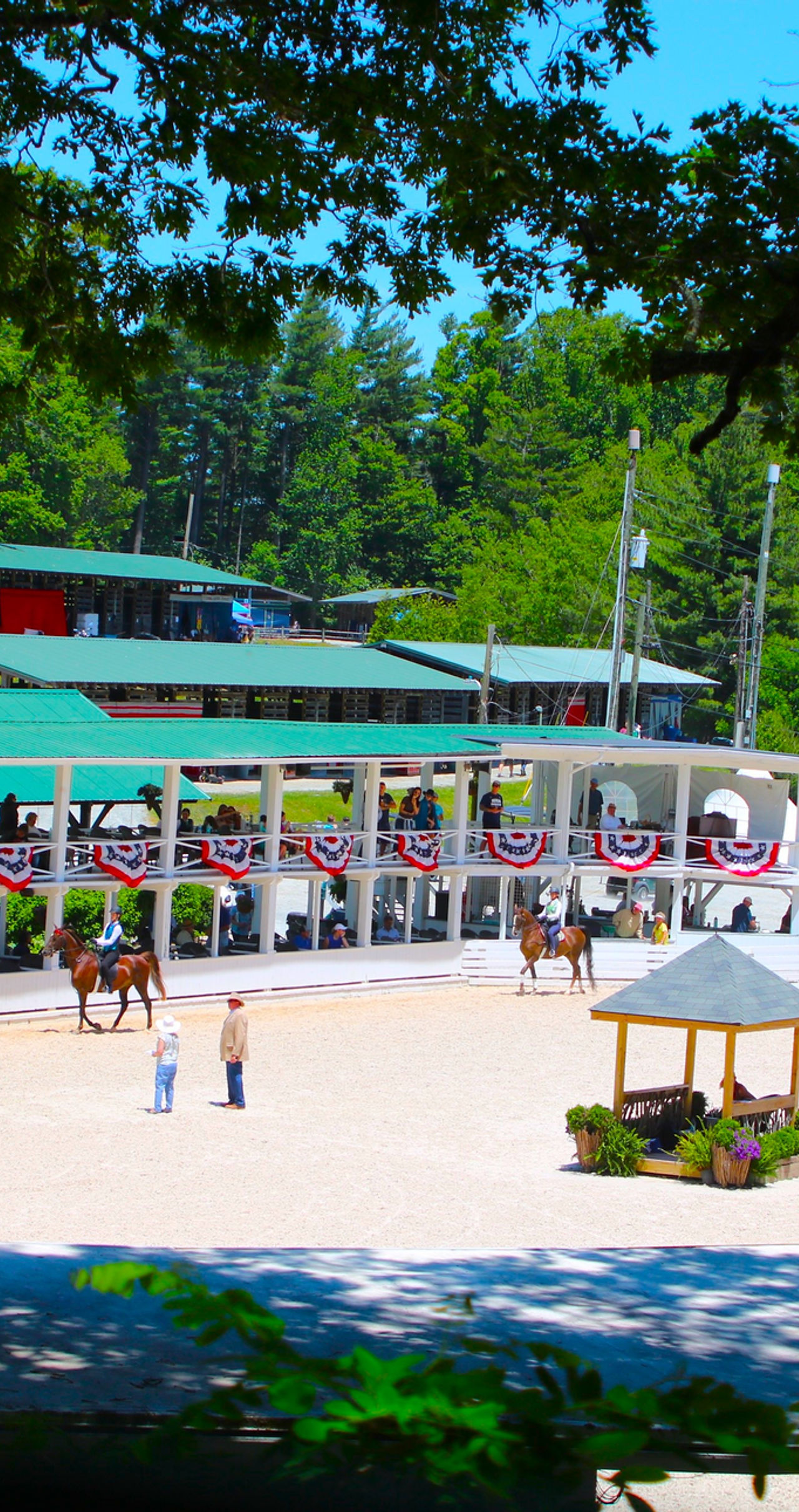 blowingrock.JPEG