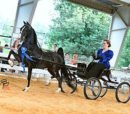 Harris Paula and Heartland Money Talk.jpg
