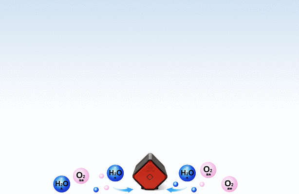 ezgif.com-gif-maker (1).gif