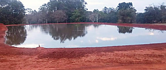 Tanque feito com Sela Tanque