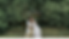 Annual Report Website Header (9).png