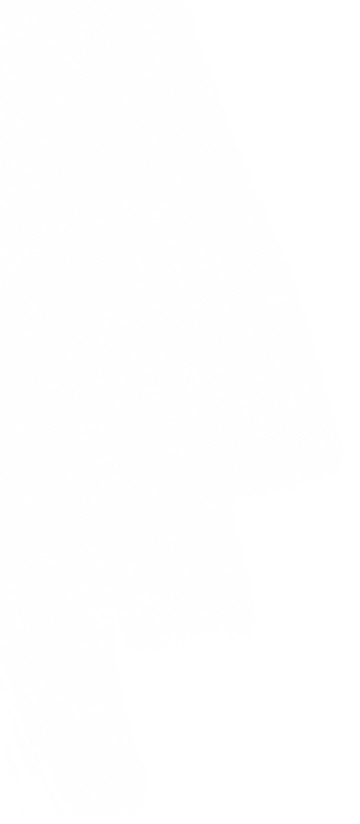 stroke 10.png