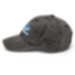 Miniatura: Vintage Save the Whales Hat