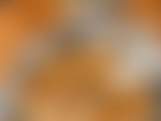 【なぜ痩せるために食事に拘るのか】