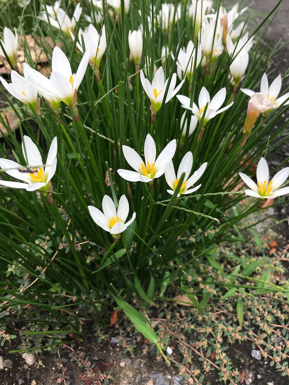 【誰のために痩せるの?】