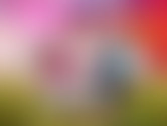 Laskar Pelangi, Karya Andrea Hirata