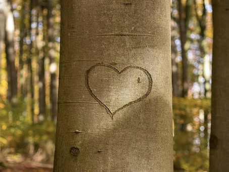 Láska – srdce života