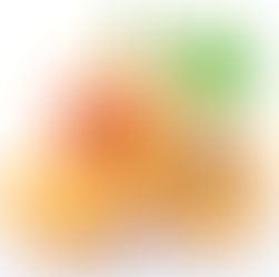 Apricot Season