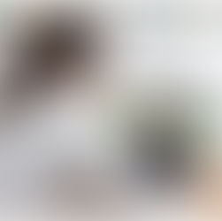 Naturopathic Telemedicine