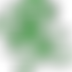 Naturopathic Visit Defined