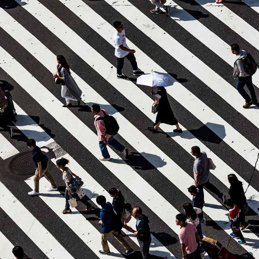 Explorando la riqueza de nuestra historia