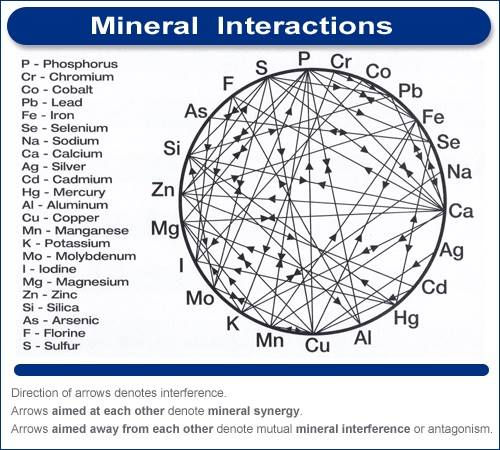 Mulders Chart