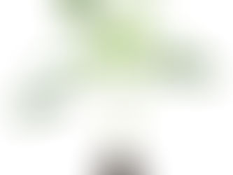 Stecklinge. Anbau, Pflege und was es zu beachten gibt.