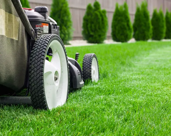 Riding Lawn Mower Repair Columbus Ohio : Troy Bilt Bronco 42 Riding Lawn Mower Troy Bilt Us : Call or click today to schedule an appointment.