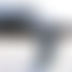 Ski PE: The Heart Of What We Do