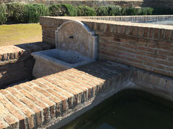 image5.JPG