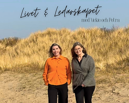 Livet & Ledarskapet - 3B.png