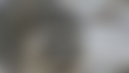 Спустить енота с небес на землю