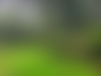 Zwischen Schock und Wirklichkeit