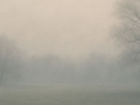 Über diesen Blog Dr. Sibylle Multhaupt – Psychoonkologie & Mentale Gesundheit.