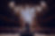 conductor-takes-bow-grand-stage-arms-raised-applauded-by-full-orchestra-enthralled-audienc