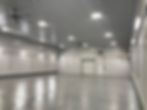 IMG_4803.jpeg