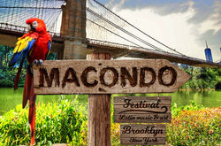 macondo3