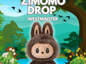 Zimomo Drop at Westminster