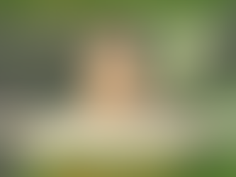 Manifestieren aus dem Herzraum - Wie du aus deiner inneren Wahrheit Gesundheit erschaffst