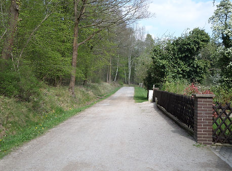 Wanderweg in Osterwald