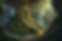 Jasper_George_beautiful_animated_jungle_landscape_filled_with_l_f3fb904e-efa8-44d8-bf2c-a6