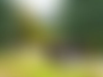 Die Zukunft des Schulbaus - Austausch in Weimar