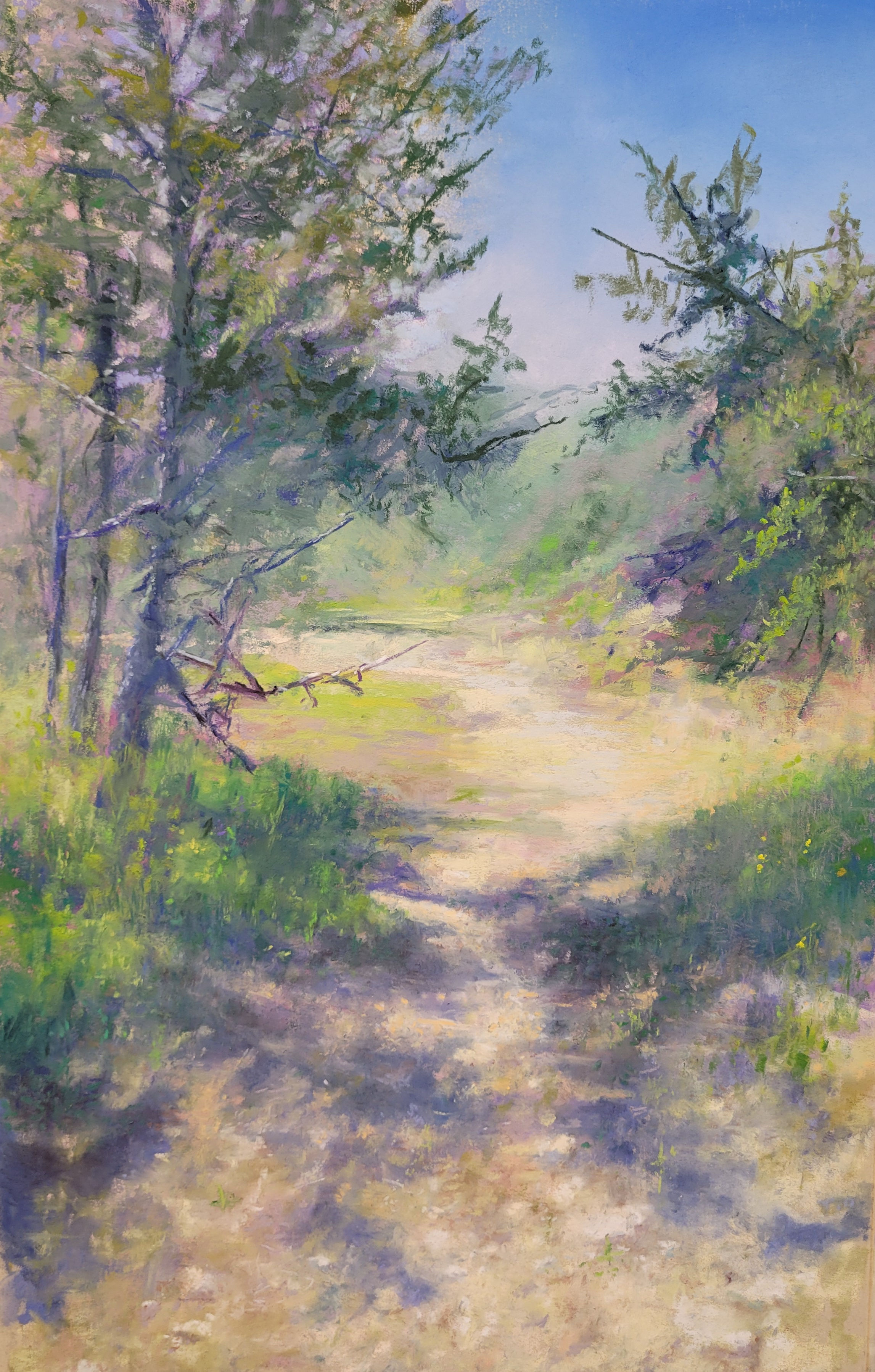Path to the Beach - Lake Erie
