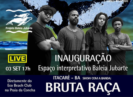 Assista inauguração do espaço interpretativo Baleia Jubarte de Itacaré