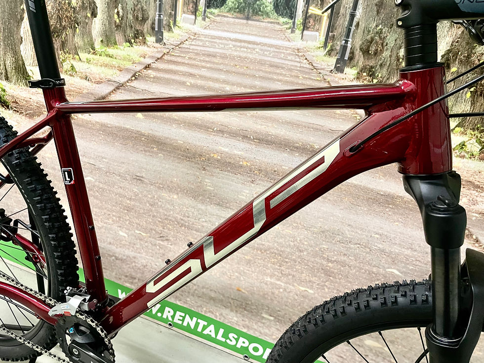 Thumbnail: Superior XC 819 MTB 29"