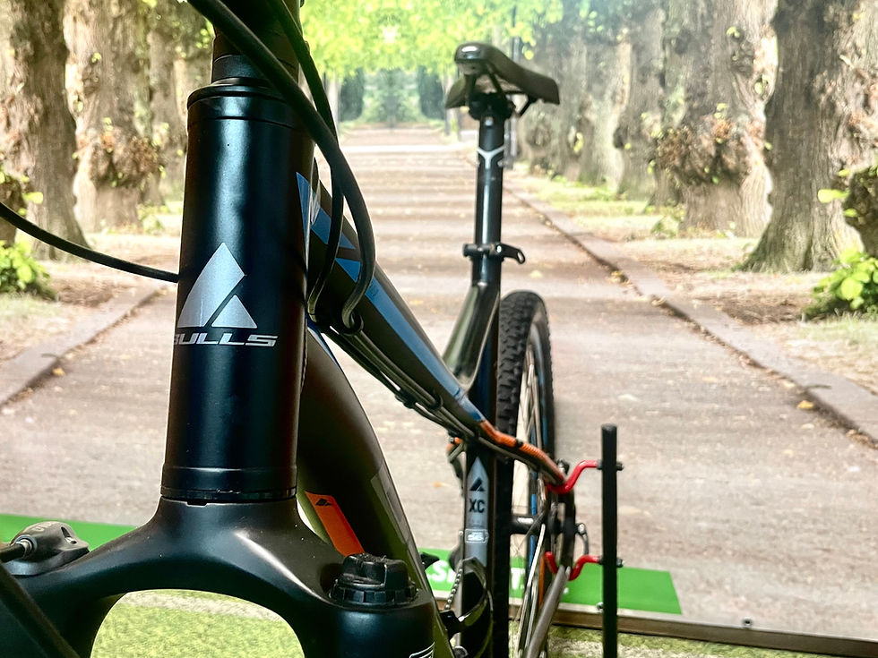 Thumbnail: BULLS Sharptail MTB 29"